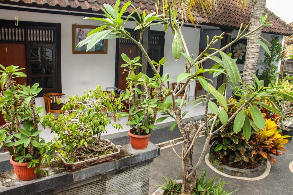 Nyoman Guesthouse Canggu Екстер'єр фото